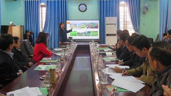 Trà Bồng: Họp nghe nhà đầu tư báo cáo đề xuất đầu tư Dự án liên quan đến cây Chè Trà Nham