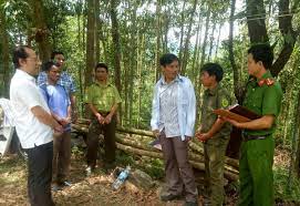 Trà Bồng: Tăng cường công tác quản lý bảo vệ rừng, phòng cháy chữa cháy rừng.