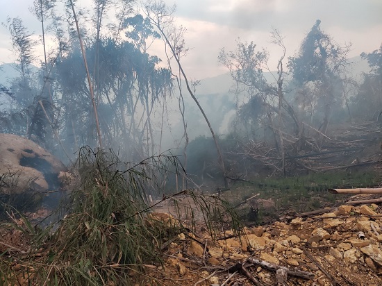 Trà Bồng: Một người phụ nữ tử vong nghi ngạt khói khi đốt rẫy