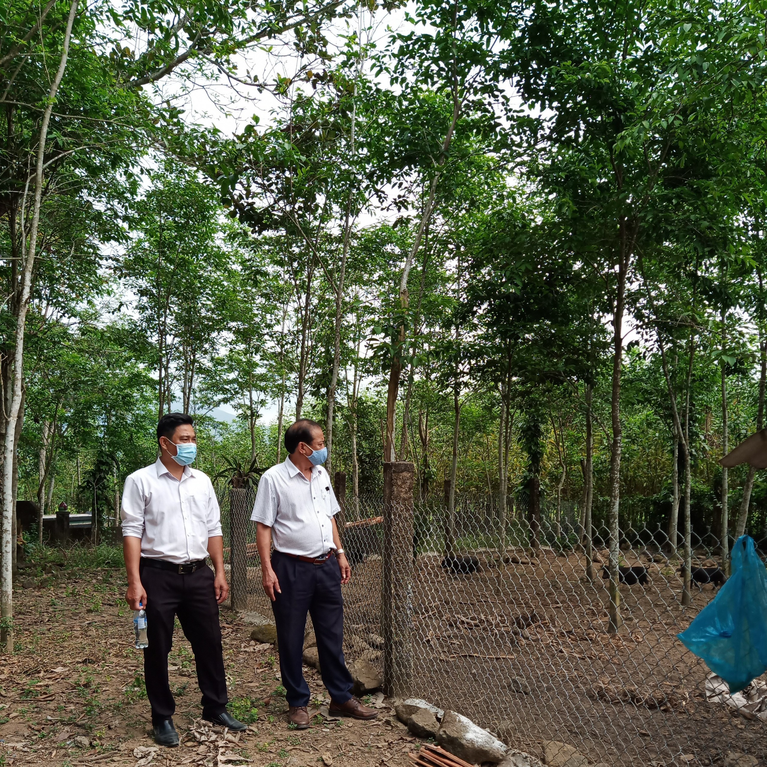 UBND huyện tổ chức kiểm tra tình hình thực hiện công tác phòng, chống dịch bệnh gia súc, gia cầm tại xã Trà Phú