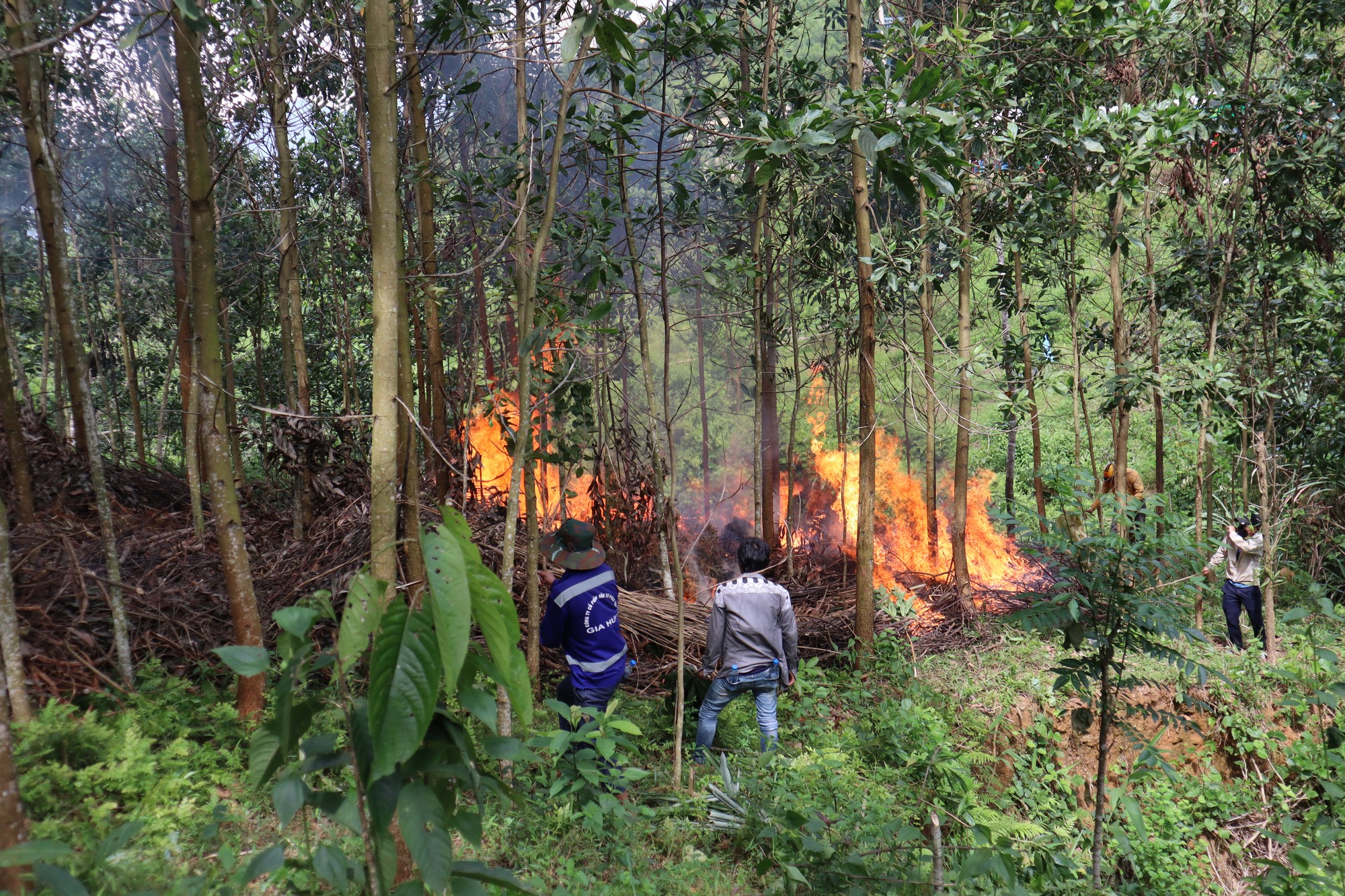 Diễn tập phòng cháy, chữa cháy rừng tại xã Hương Trà