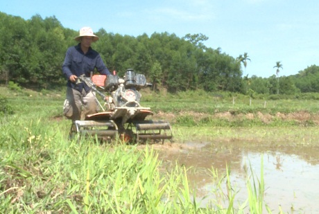 Nông dân Trà Bồng chuẩn bị gieo sạ vụ lúa Hè - Thu 2020