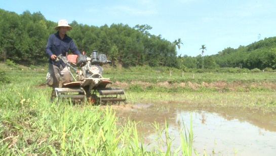 Nông dân Trà Bồng chuẩn bị gieo sạ vụ lúa Hè - Thu 2020