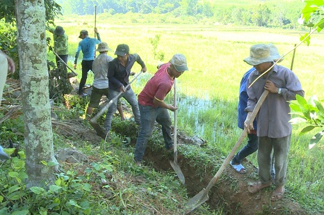 Thanh niên Trà Bồng ra quân nạo vét kênh mương nội đồng, dọn vệ sinh môi trường